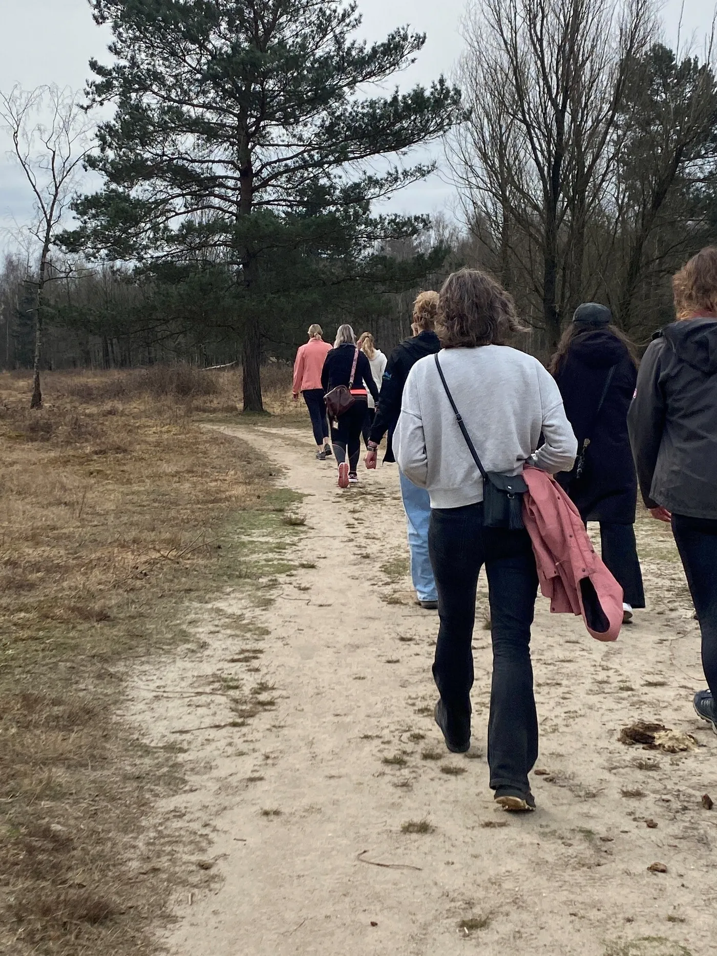 Een groep wandelaars loopt over een zandpad het bos in