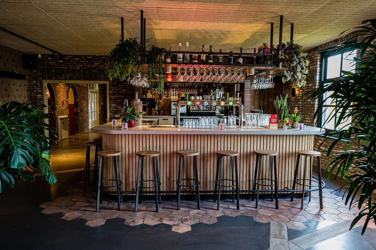 De bar van BOS & Co, met flessen op de achterwand en planten langs het plafond